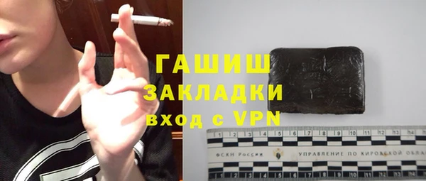 индика Балахна