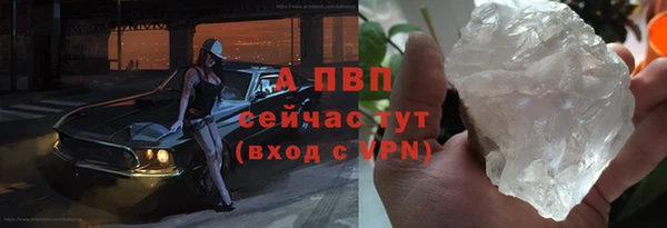 индика Балахна