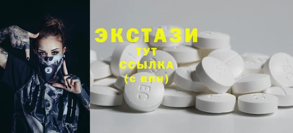 индика Осташков