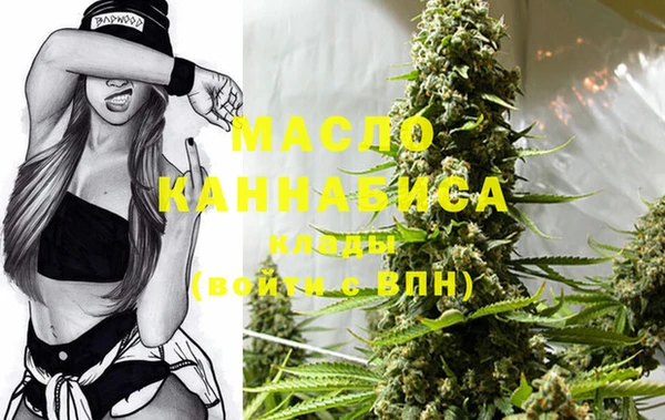 индика Осташков