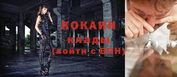 индика Балахна