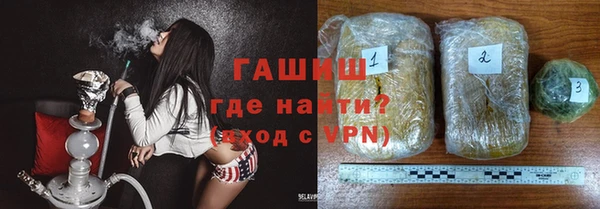индика Балахна