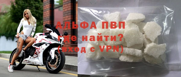 индика Балахна