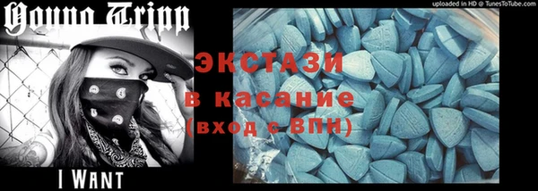 индика Осташков