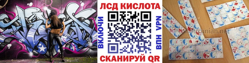 мега онион  купить наркотик  Шацк  Наркотические марки 1,8мг 