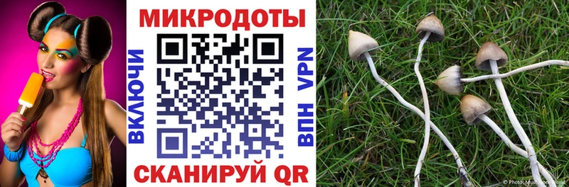 Псилоцибиновые грибы Cubensis  кракен ТОР  сайты даркнета наркотические препараты  Шацк 